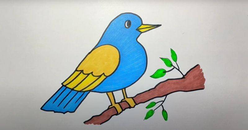 Youtube.com/Doni Studio